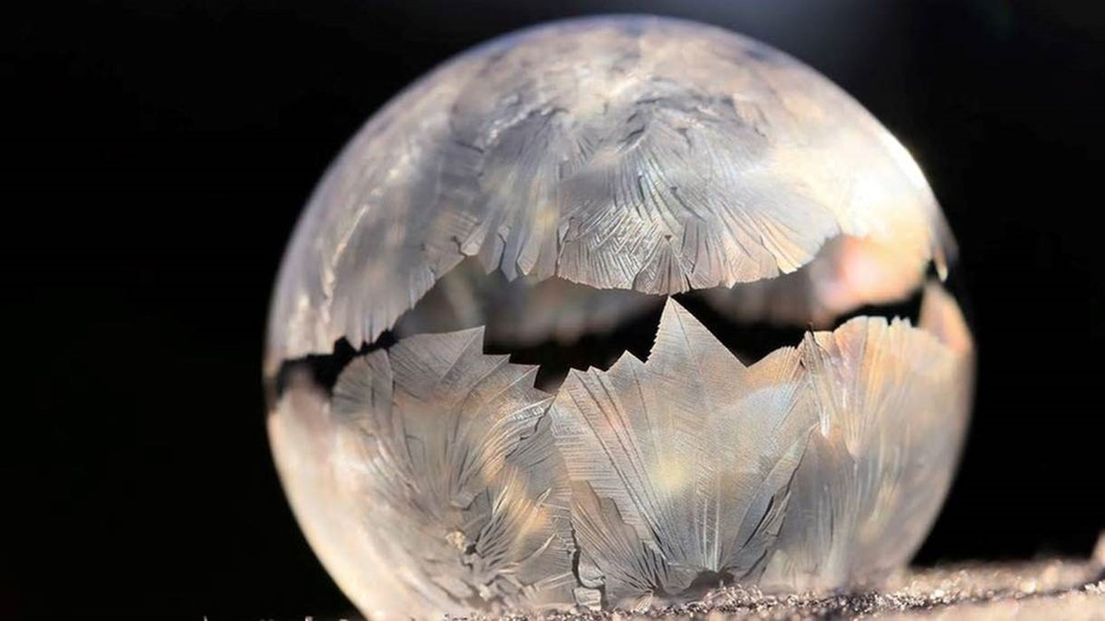 Esta bolha de sabão manteve o formato ao congelar (Foto: DANIELA RAPAV/Royal Photographic Society)