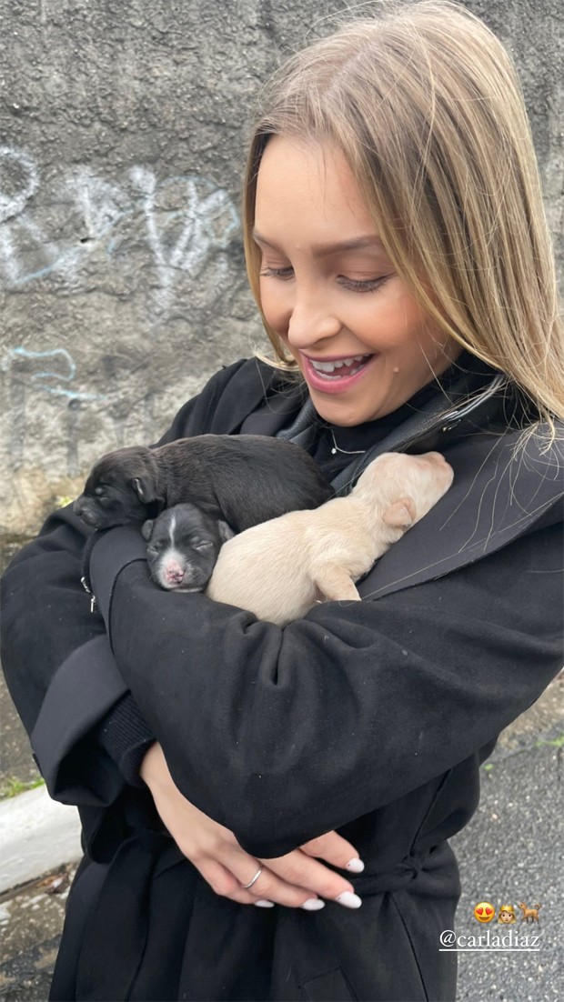 Carla Díaz participou de resgate de cães recém-nascidos em São Paulo (Foto: Reprodução /  Instagram)