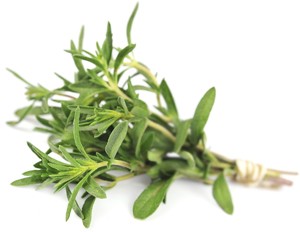 Thyme fresh herb (Foto: Getty Images/iStockphoto)