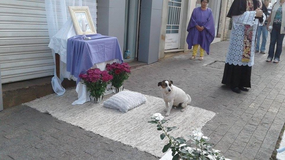 Cachorro acompanha eventos religiosos em São Lourenço (MG) (Foto: Marco Marques/Reprodução Facebook)