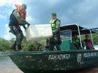 Polícia liberta quelônios encontrados em embarcação no Amazonas