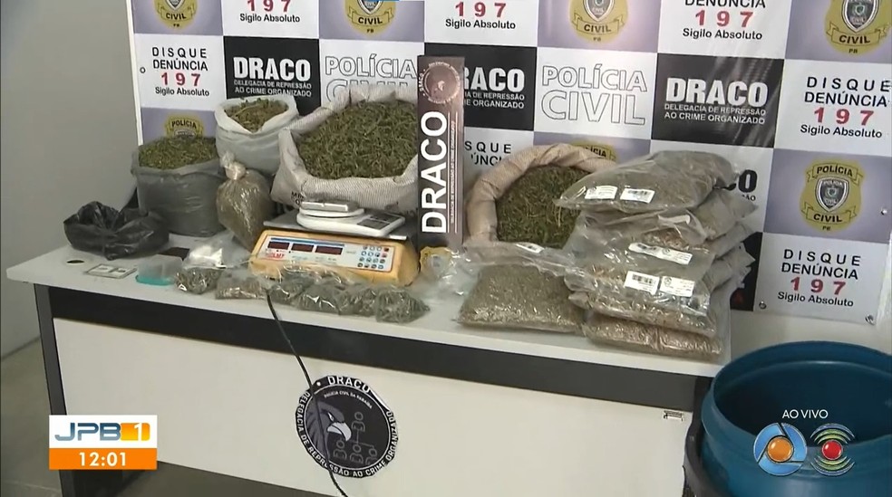 Maconha in natura apreendida em Campina Grande pode ter sido roubada de associação — Foto: Reprodução/TV Paraíba
