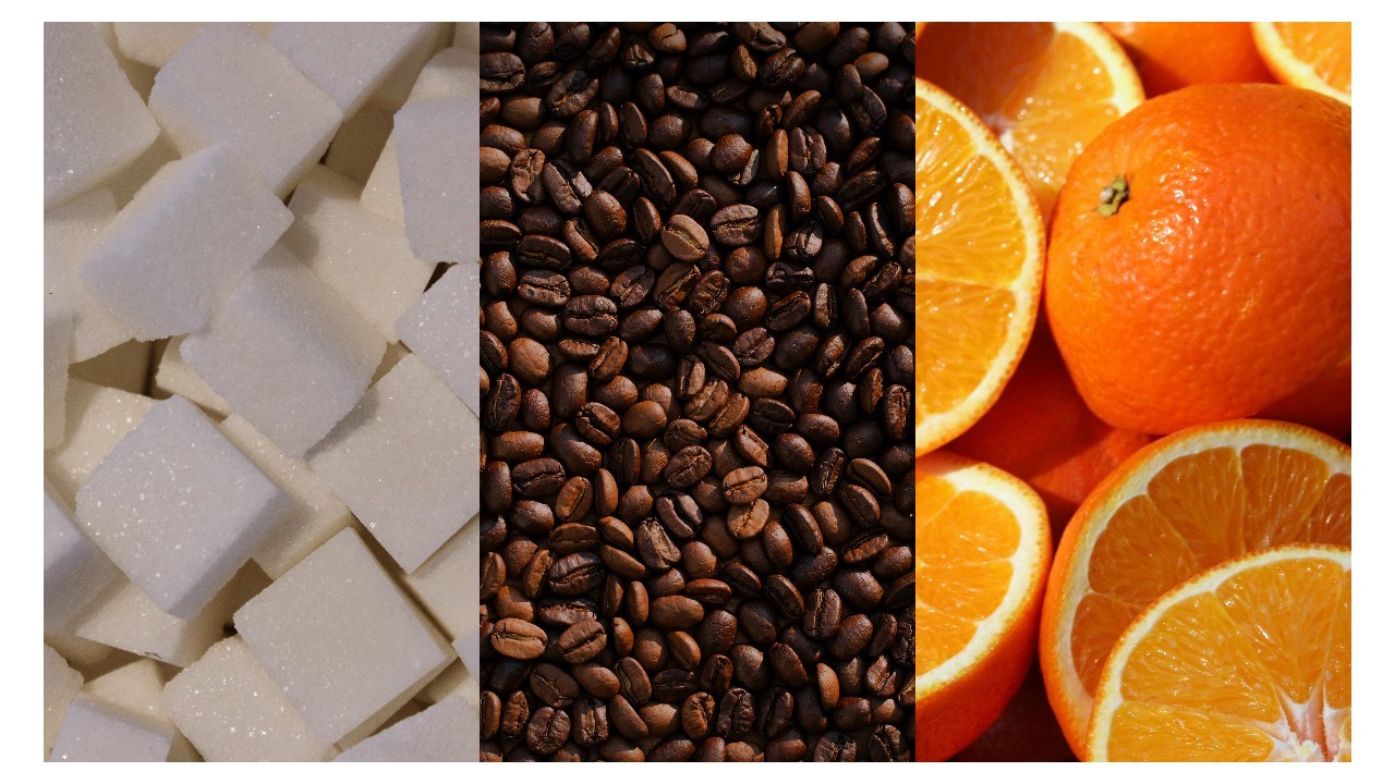 Café, laranja e cana-de-açúcar são campeões de produção no país, mas não são brasileiros; entenda