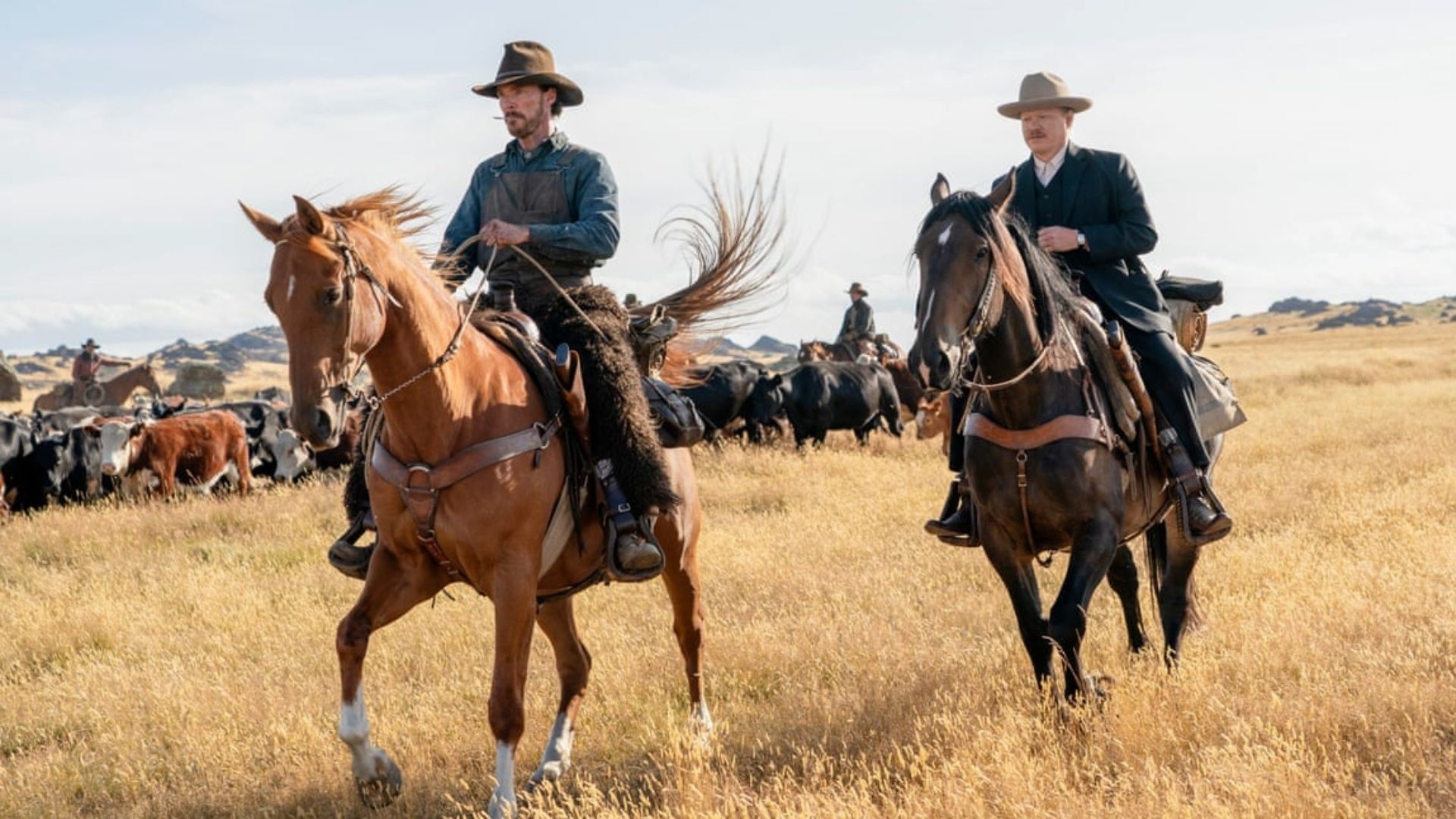 Assistir filmes de bangbang