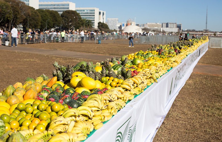 Com maior mostruário de frutas do mundo o Brasil quebrou recorde e entrou para o Guinness Book (Foto: Guiness World Records)