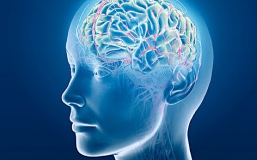 As Vezes O Individuo Está Louco Na Droga Original Veja Como As Drogas Alteram O Funcionamento Do Cerebro Revista