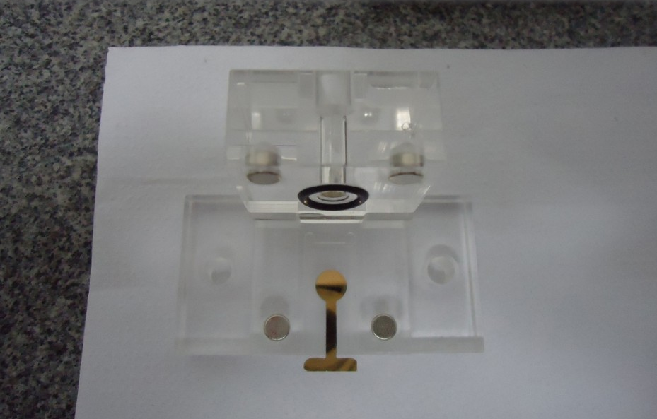 Amostra de anticorpo é colocada em um eletrodo de ouro em escala nanométrica (Foto: Divulgação)