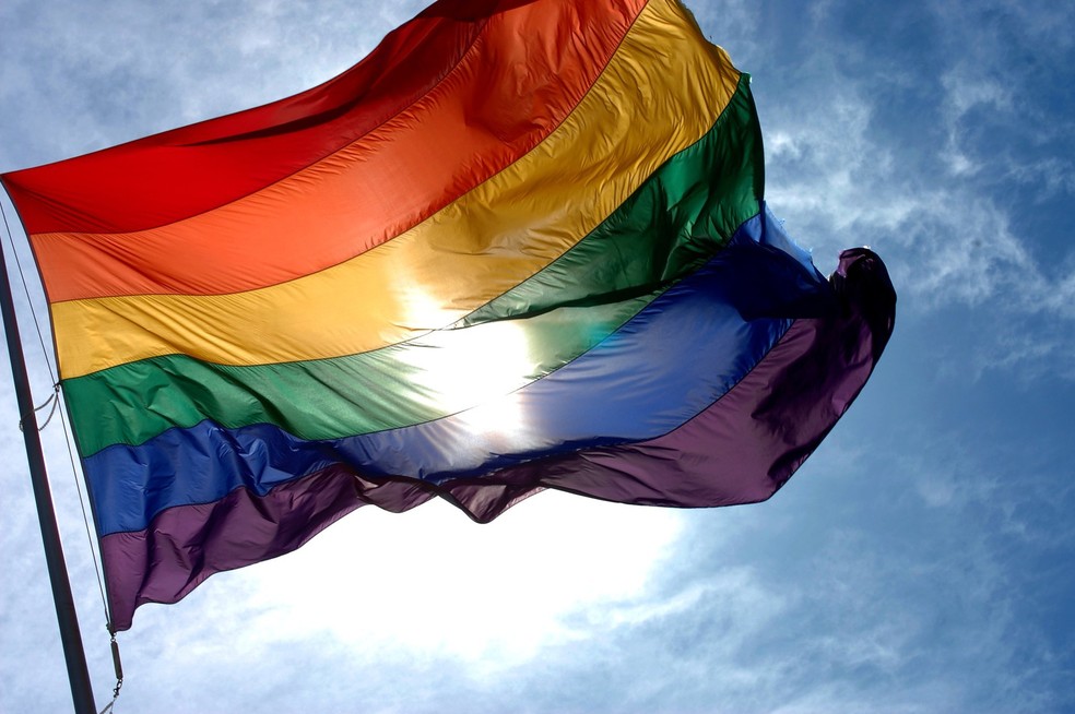 Bandeira do orgulho gay — Foto: Reprodução/Redes sociais