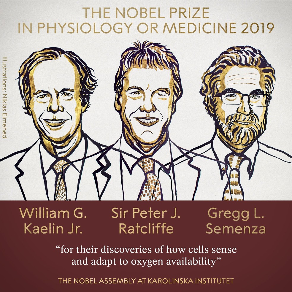 Vencedores do prêmio Nobel de Medicina deste ano: William Kaelin, Sir Peter J. Ratcliffe e Gregg Semenza. — Foto: Reprodução/Twitter prêmio Nobel