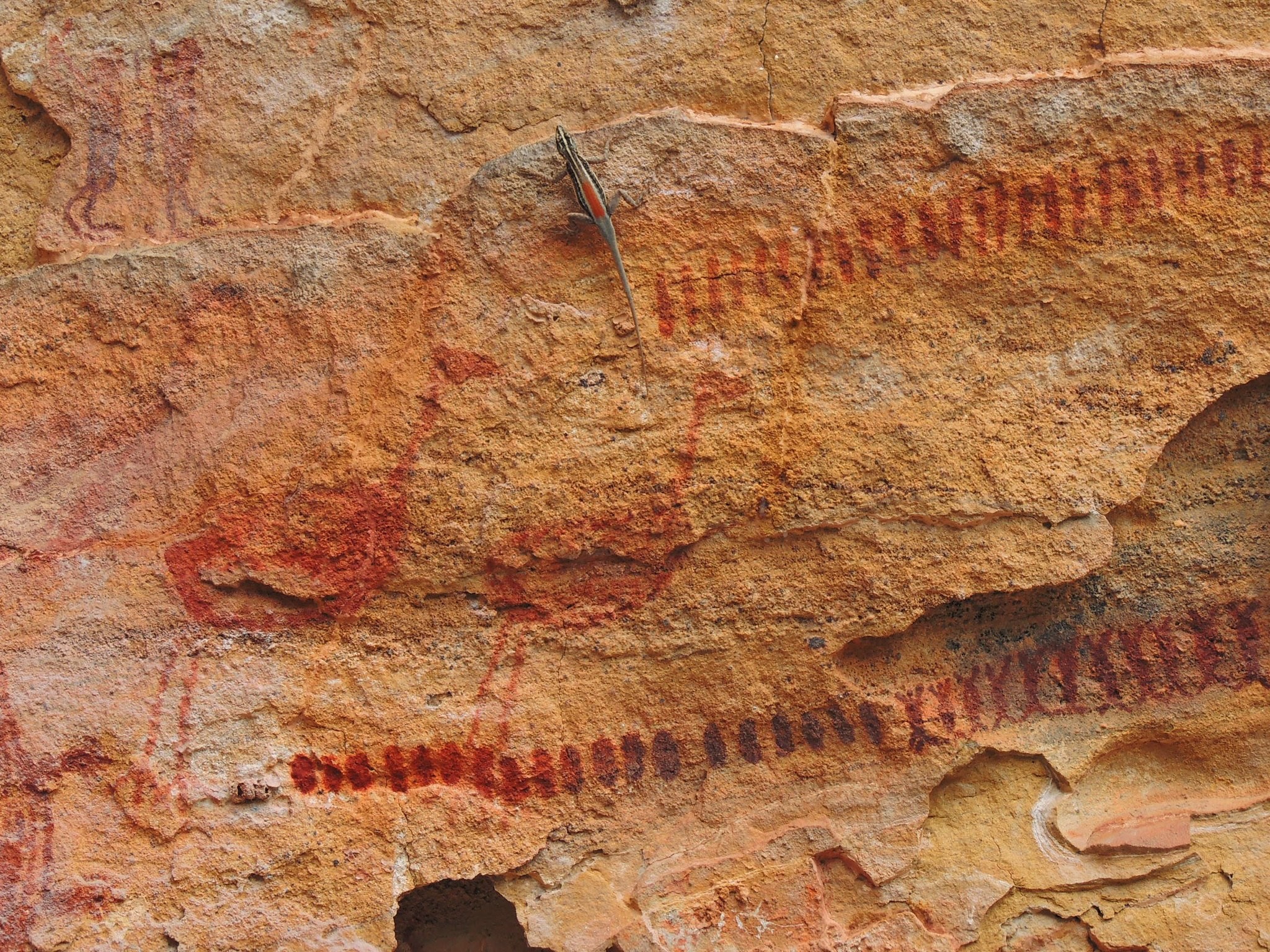 Pintura rupestre en el Parque Nacional Serra da Capivara (Foto: Wikimedia Commons)