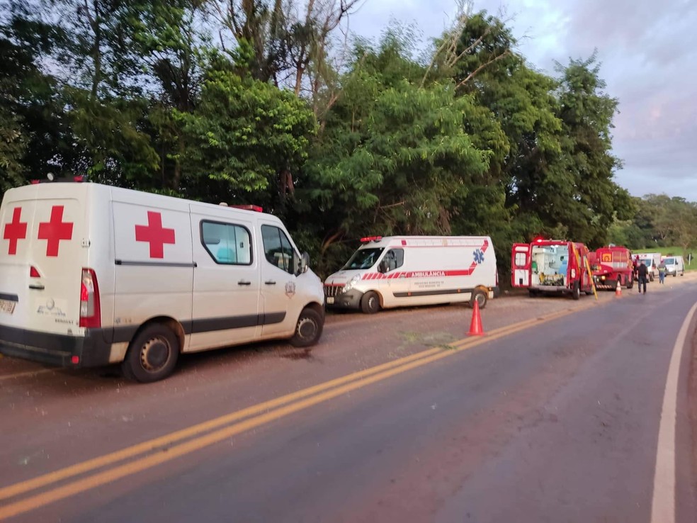 Diversas ambulâncias foram acionadas para o socorro às vítimas — Foto: Marechal News