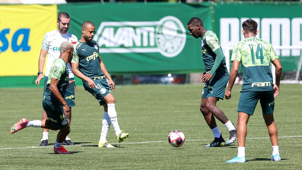 Escalação do Palmeiras: com Abel na Academia, Verdão prepara time para enfrentar o São Caetano