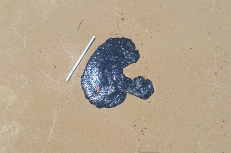 Saiba o que fazer se encontrar manchas de óleo nas praias do Rio Grande do Norte