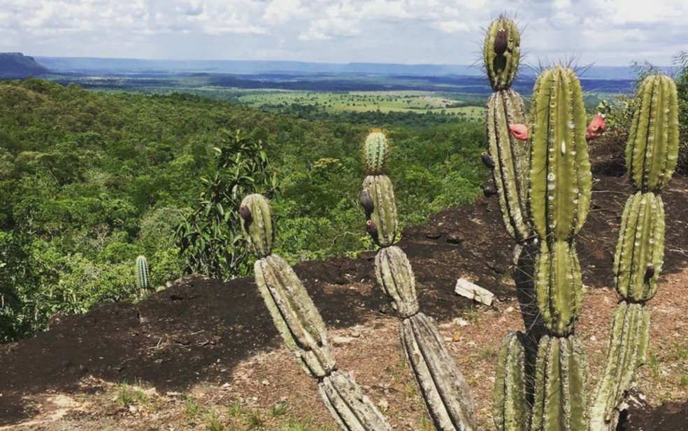Monumento Natural Serra do Bom Jardim (Foto: Prefeitura de Alcinópolis/Divulgação)