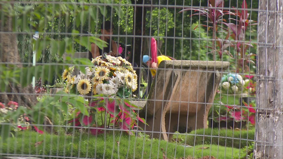 Na parte da frente do  Parque das Flores, no Recife, existe organização, o que contrasta com a área para vítimas da Covid — Foto: Reprodução/TV Globo 
