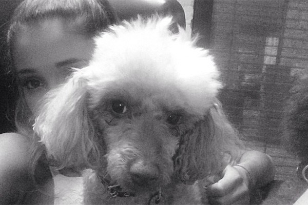 A cantora Ariana Grande é uma grande fã de cachorros. Não é à toa que ela tem quatro: Ophelia, Toulouse, Fawkes e Coco.  (Foto: Reprodução/Instagram)