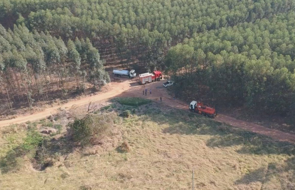 Incêndio atingiu área de Mata Atlântica em Bauru — Foto: TV TEM/Reprodução