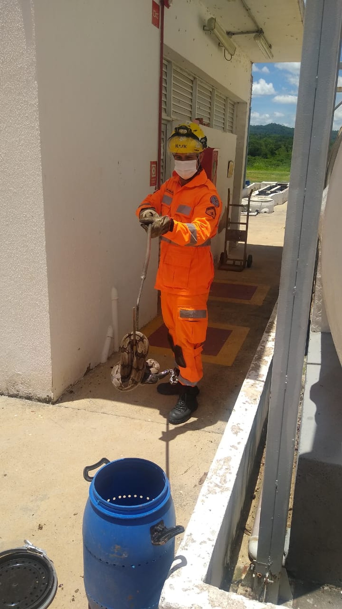 Bombeiros capturam jiboia em pátio de empresa, em Montes Claros