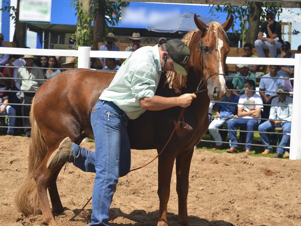 Entre atrações da Tecnoshow estão ainda dinâmicas com animais Rio Verde Goiás (Foto: Divulgação/Cristiano Borges)