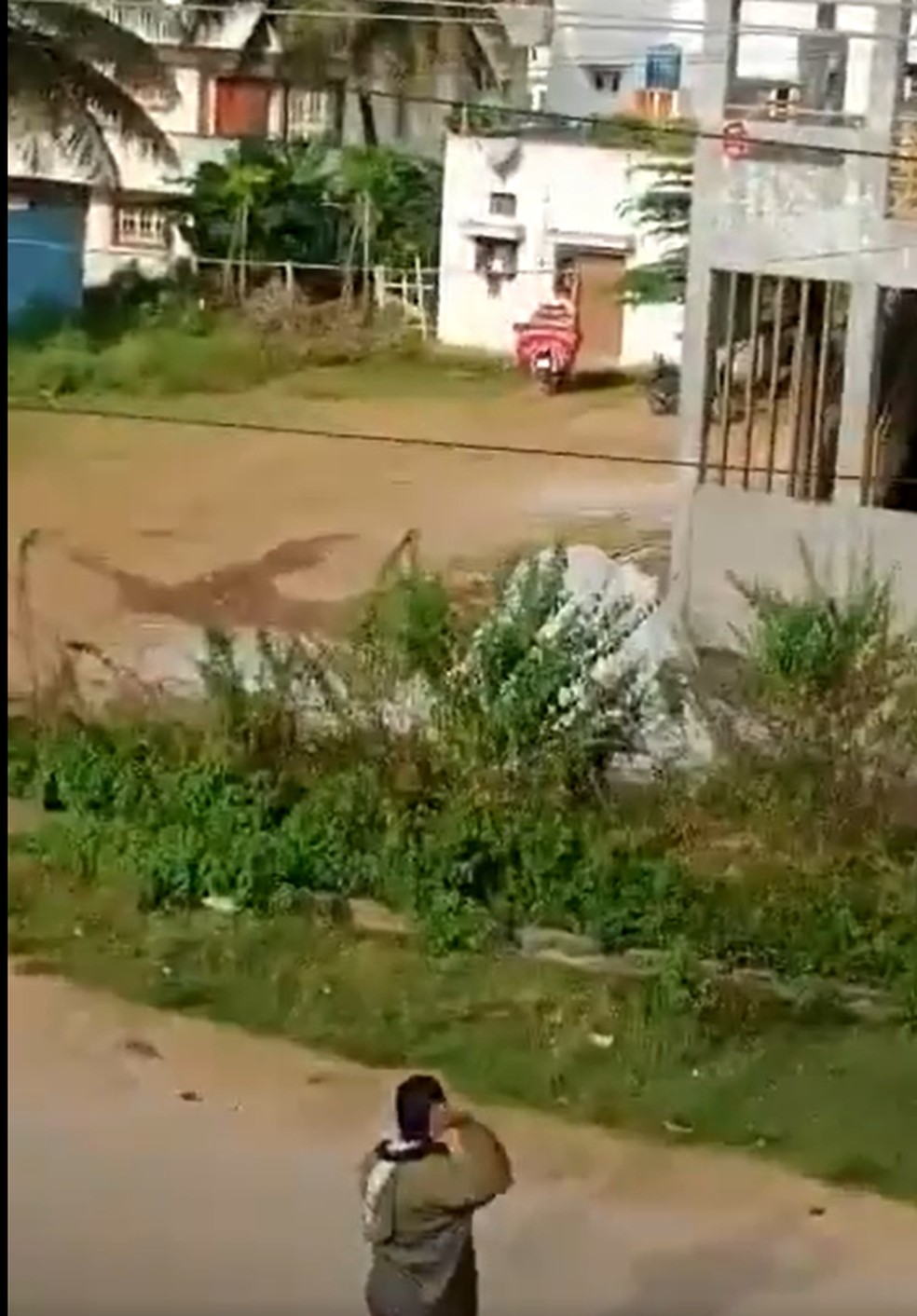 Garda florestal atacando um leopardo — Foto: Reprodução/Twitter