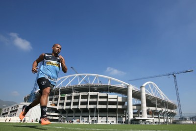 Emerson Botafogo (Foto: Satiro Sodré / Botafogo)