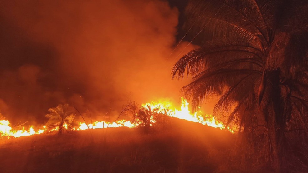 Incêndio no Parque Mata do Limoeiro, em Itabira — Foto: Redes sociais