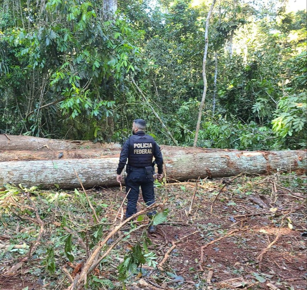 Operação S.O.S URU contra crimes ambientais na Terra Indígena Uru-Eu-Wau-Wau em Rondônia — Foto: PF/Reprodução