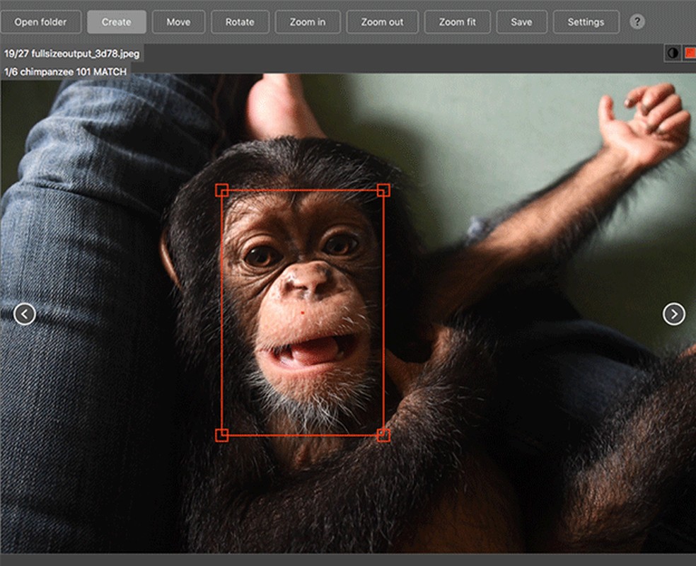 O fato de as caras dos chimpanzÃ©s serem muito parecidas com rostos humanos Ã© um desafio para a tecnologia â€” Foto: DivulgaÃ§Ã£o/ChimpFace