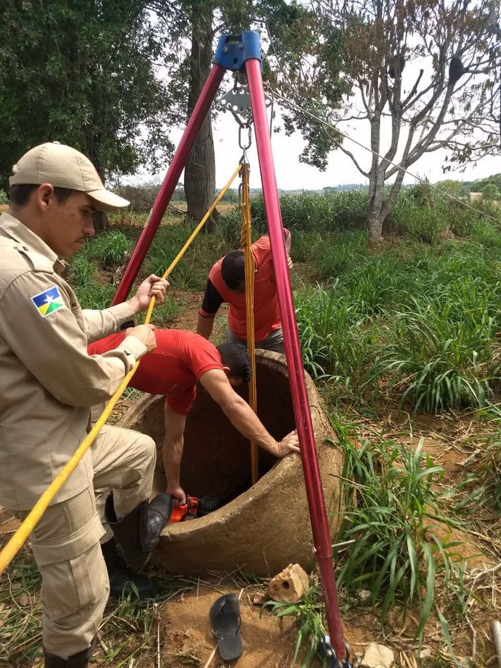 Animal foi adotado por morador (Foto: Edelson Magno/Arquivo pessoal)
