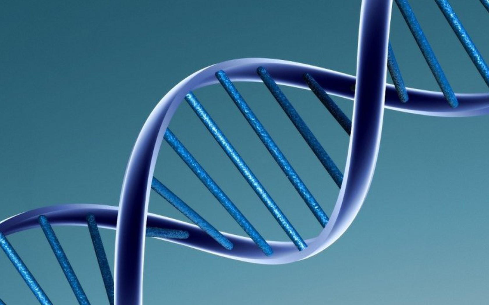 Pesquisas contrariam teorias de que só sequências de DNA carregam características genéticas para outras gerações (Foto: Creative Commons)