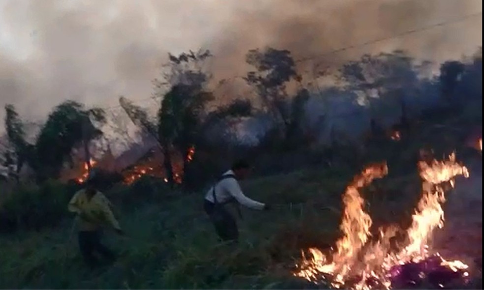 Produtores tentaram apagar fogo para evitar que destruísse casas — Foto: Reprodução