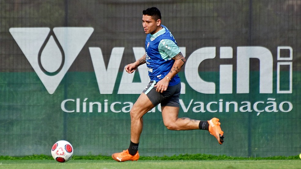 Pineida deve ganhar chance como titular no lugar de Cris Silva — Foto: Mailson Santana / Fluminense FC