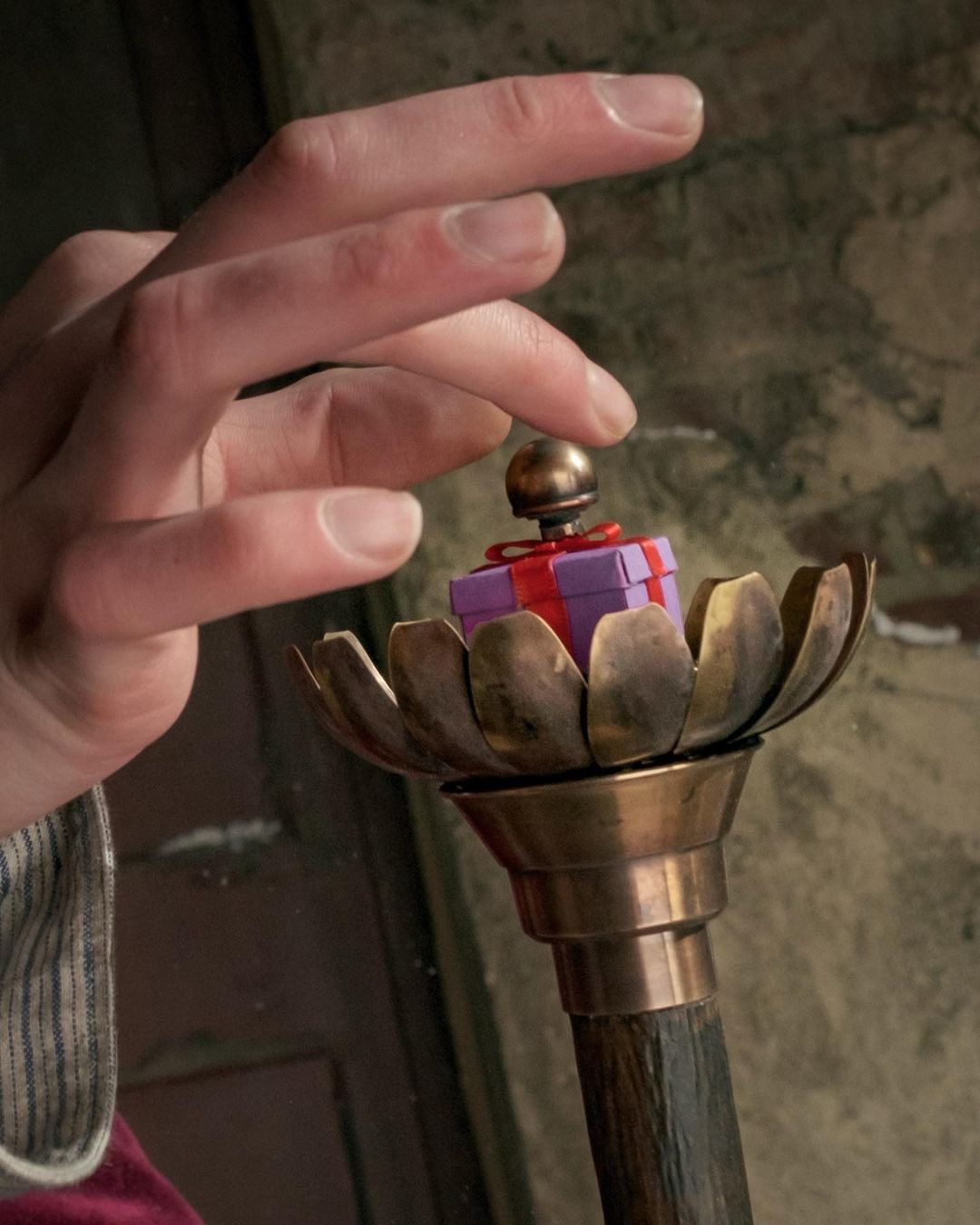 Timothée Chalamet mostra bengala de Willie Wonka (Foto: Reprodução/Instagram)