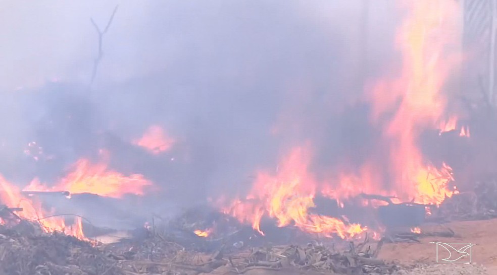 Balsas possui o maior número de focos de queimadas no Maranhão, diz Inpe (Foto: Reprodução/TV Mirante)