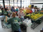 Vendas nos sacolões de Curitiba crescem até 30%; veja onde comprar