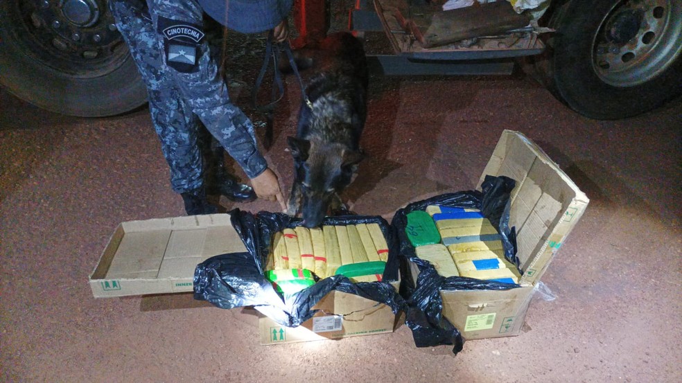Cão policial encontra mais 110kg de drogas em reboque de carro na BR-425 em Rondônia — Foto: Polícia Militar de Rondônia/ Divulgação 