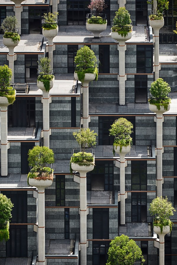 Complexo de edifícios em Xangai terá mil árvores plantadas em volta (Foto: Divulgação)