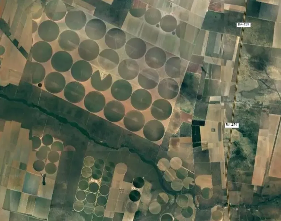 Áreas de plantação de soja perto do rio Formoso, no oeste da Bahia. Os círculos são pontos com pivôs centrais de irrigação — Foto: Google/Via BBC