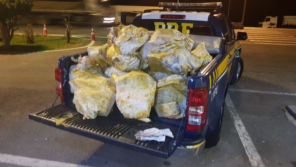 Quase 500 quilos de cocaína foram apreendidos na Região de Curitiba na noite de quarta-feira (24) — Foto: PRF/Divulgação
