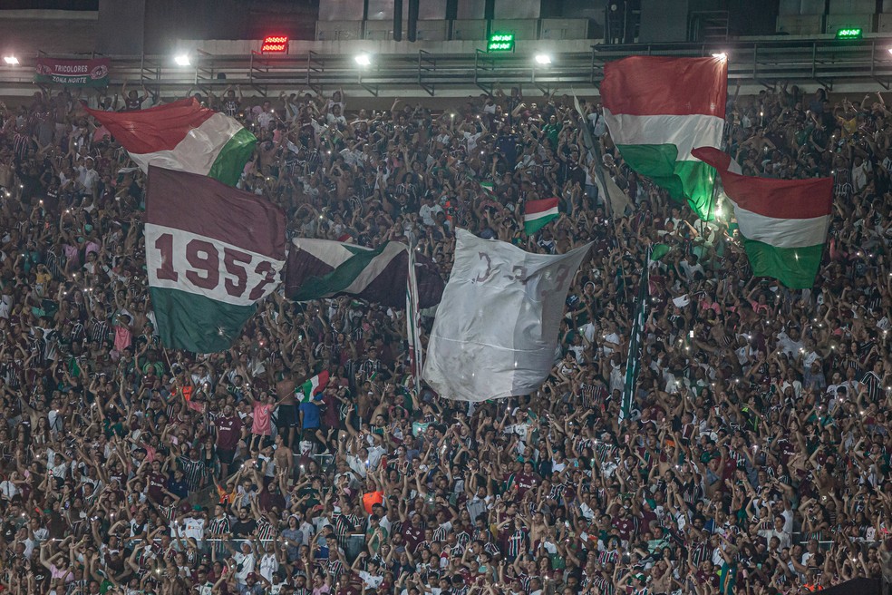 Torcida do Fluminense no jogo contra o Goiás — Foto: Marcelo Gonçalves/Fluminense