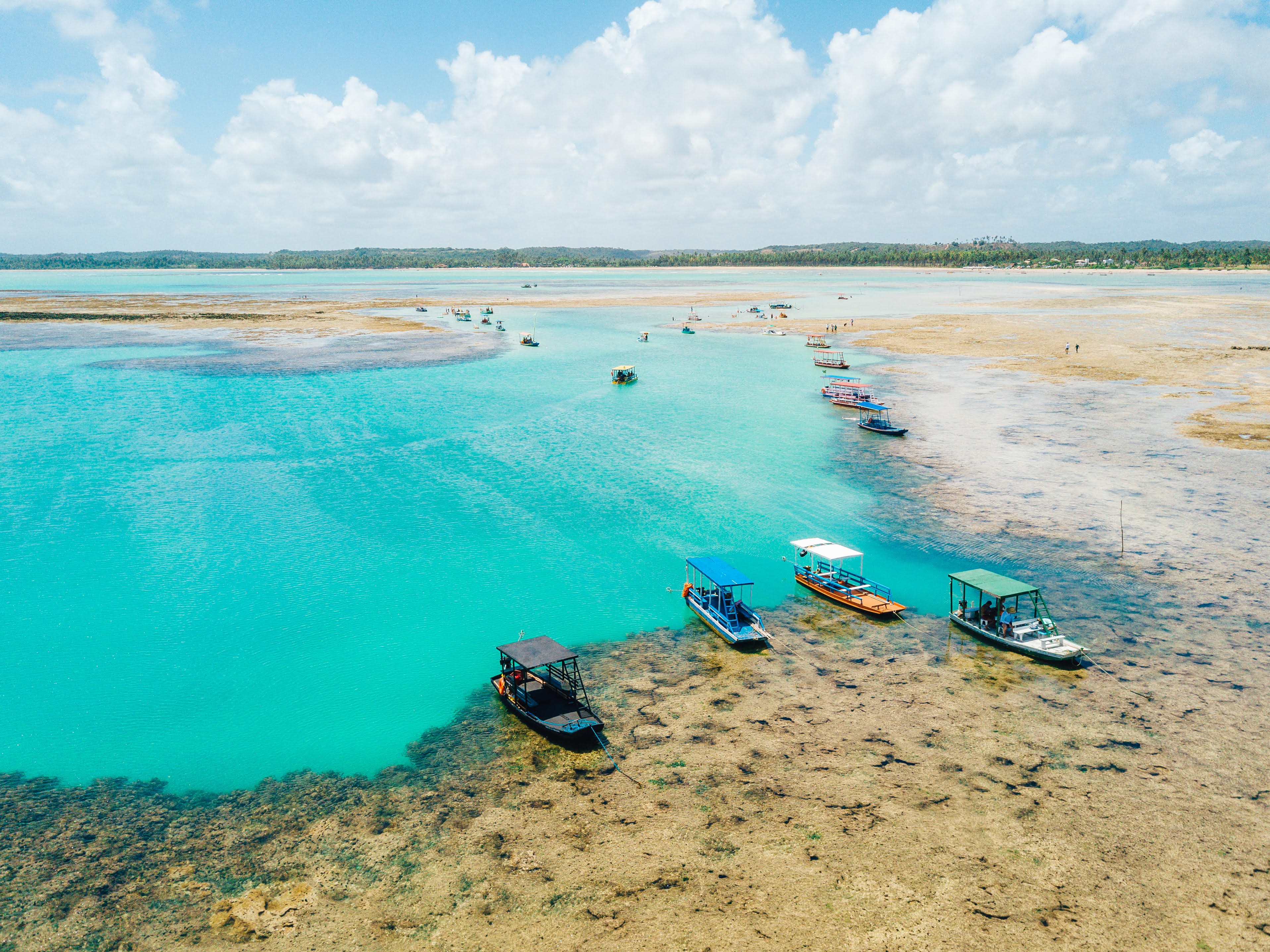 Veja as praias brasileiras premiadas por qualidade ambiental e segurança em lista internacional