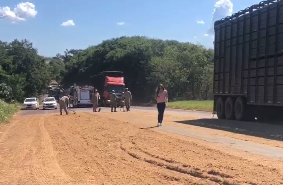 Bombeiros retiram farelo de soja em pista da BR-262 no anel rodoviário de Campo Grande, após o acidente com morte — Foto: Eduardo Galina/TV Morena