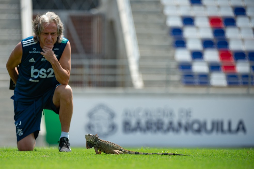 Jorge Jesus Flamengo — Foto: Alexandre Vidal / Flamengo