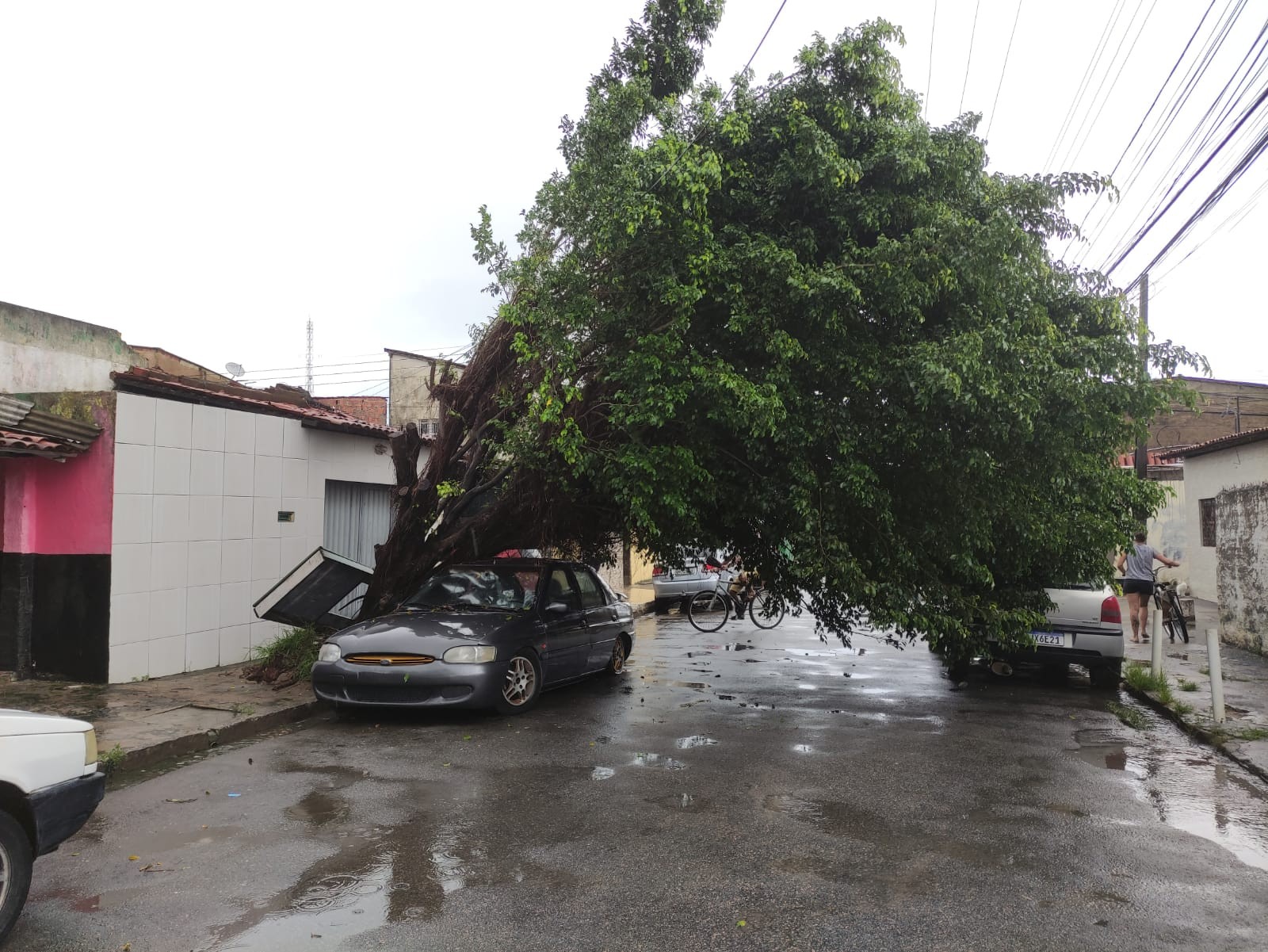 Árvore cai em cima de carro na Jatiúca, em Maceió