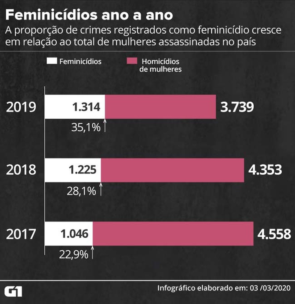 Feminicídios já representam 35% do total de assassinatos de mulheres no país — Foto: Rodrigo Sanches/G1