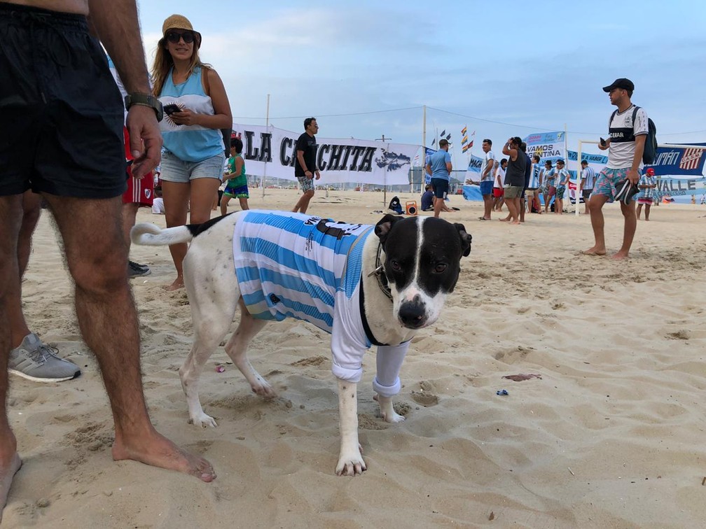 Torcida argentina tinha até cachorro caracterizado — Foto: Larissa Caetano/G1