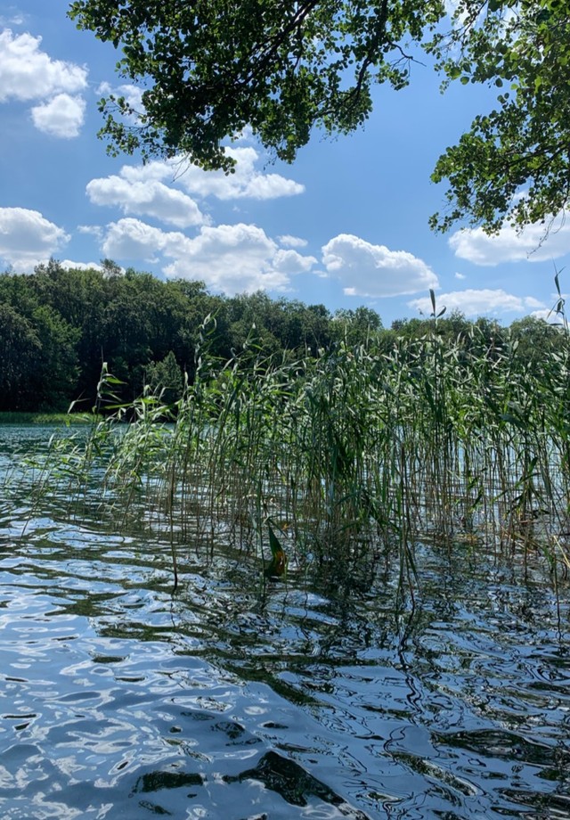 Bruna Linzmeyer exibe beleza natural em lago na Alemanha (Foto: reprodução/Instagram)