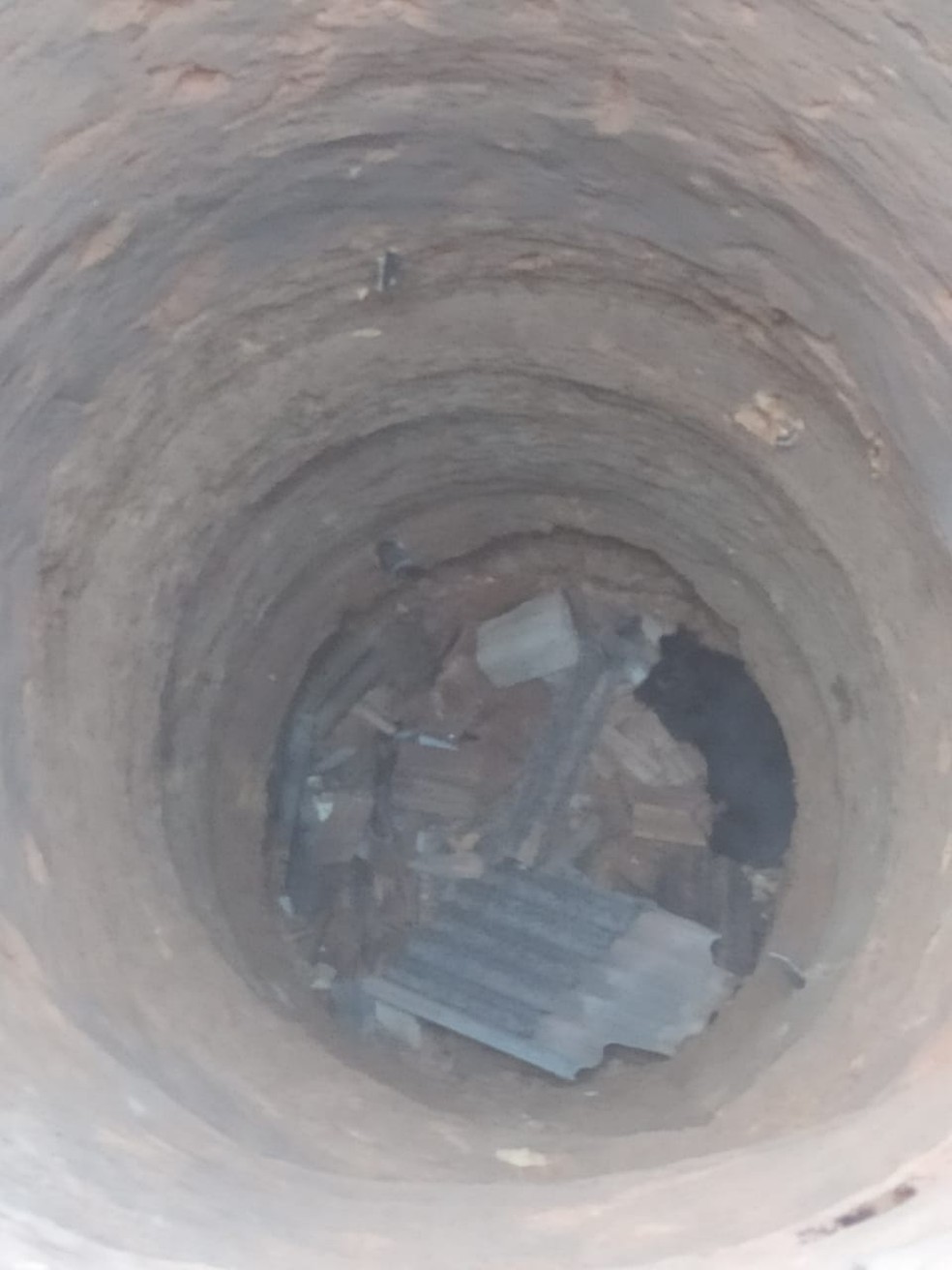O cachorro foi resgatado sem ferimento, conforme os bombeiros — Foto: Corpo de Bombeiros