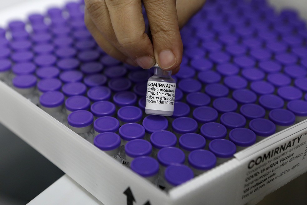 Vacinas da Pfizer serão usadas para a 4ª dose em imunossuprimidos. — Foto: Hélia Scheppa/Arquivo/SEI