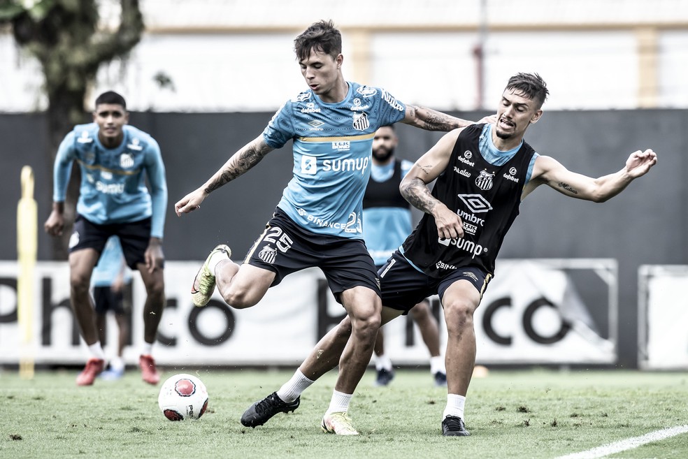 Vinícius Zanocelo e Emiliano Velázques durante treino do Santos — Foto: Ivan Storti/Santos FC